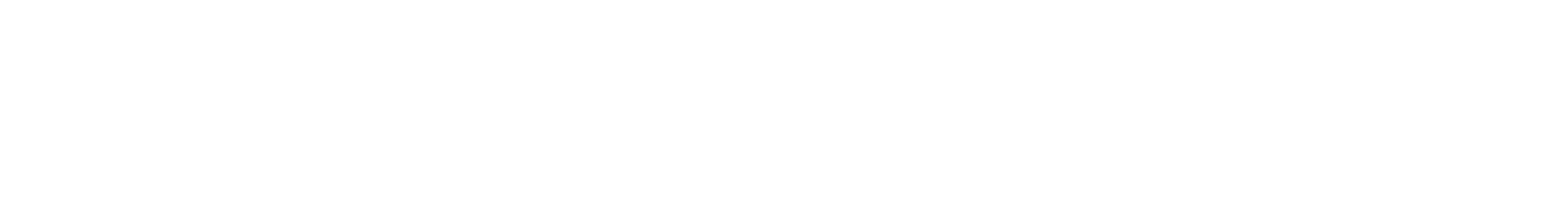 The Escape Game